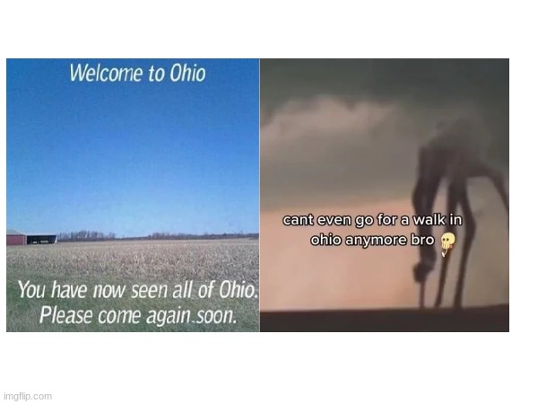 When you try to take a walk in ohio | image tagged in ohio | made w/ Imgflip meme maker