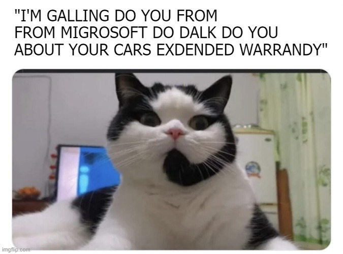 "I'M GALLING DO YOU FROM FROM MIGROSOFT DO DALK DO YOU ABOUT YOUR CARS EXDENDED WARRANDY" | image tagged in funny,funny cats,funny animals,telemarketer | made w/ Imgflip meme maker
