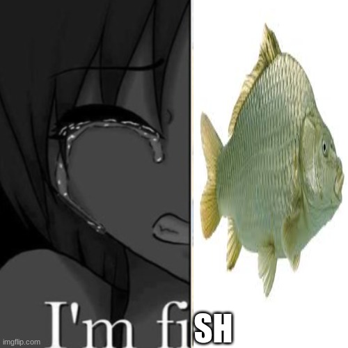 SH | made w/ Imgflip meme maker