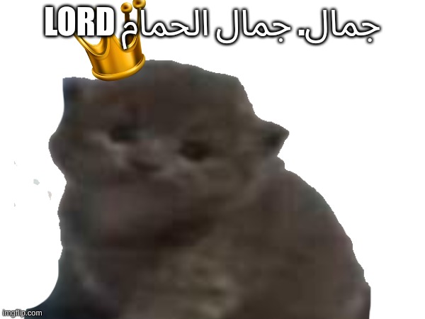 LORD جمال. جمال الحمام | made w/ Imgflip meme maker