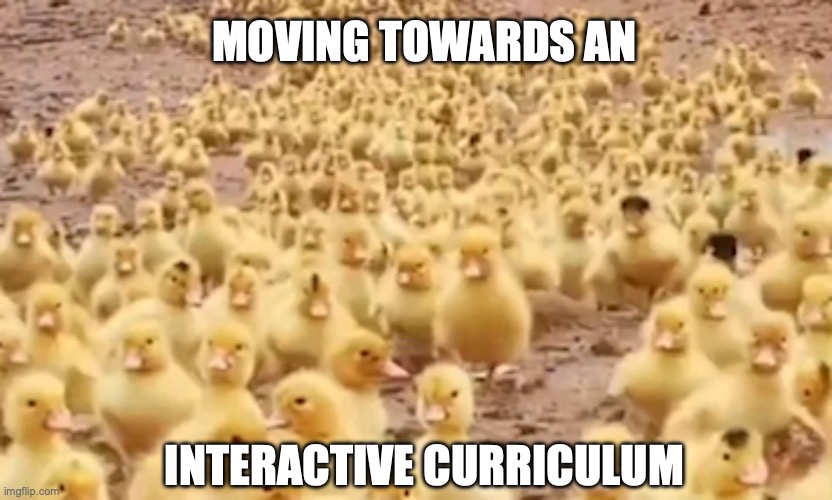 ducks and curriculum | MOVING TOWARDS AN; INTERACTIVE CURRICULUM | image tagged in ducks,academic,curriculum | made w/ Imgflip meme maker