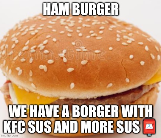 borger | HAM BURGER; WE HAVE A BORGER WITH KFC SUS AND MORE SUS📮 | image tagged in borger | made w/ Imgflip meme maker