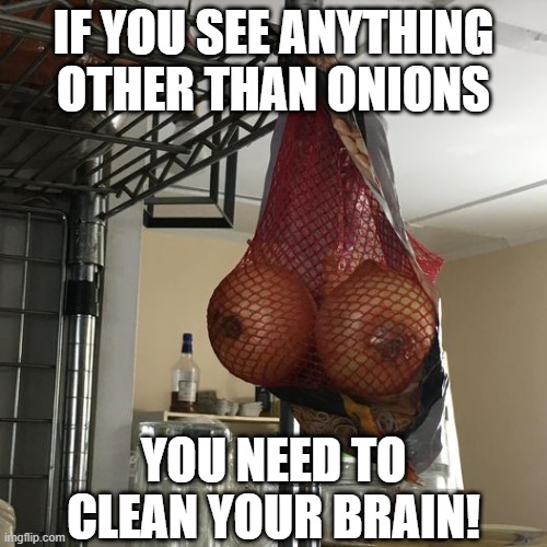 Not What You Think | IF YOU SEE ANYTHING OTHER THAN ONIONS; YOU NEED TO CLEAN YOUR BRAIN! | image tagged in boobs,sex jokes,funny,memes | made w/ Imgflip meme maker