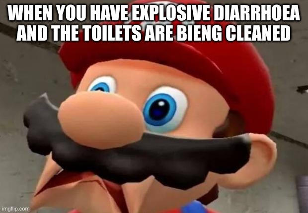 Mario WTF | WHEN YOU HAVE EXPLOSIVE DIARRHOEA AND THE TOILETS ARE BIENG CLEANED | image tagged in mario wtf | made w/ Imgflip meme maker