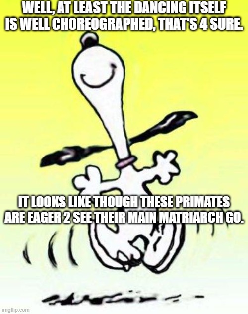 Snoopy Getz Down 3 | WELL, AT LEAST THE DANCING ITSELF IS WELL CHOREOGRAPHED, THAT'S 4 SURE. IT LOOKS LIKE THOUGH THESE PRIMATES ARE EAGER 2 SEE THEIR MAIN MATRIARCH GO. | image tagged in charles shultz,peanuts,charlie brown,snoopy,be happy dance,happy dance | made w/ Imgflip meme maker