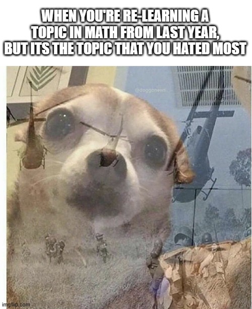 Geometric sequences SUCKED ;~; wish me luck pls U_U | WHEN YOU'RE RE-LEARNING A TOPIC IN MATH FROM LAST YEAR, BUT ITS THE TOPIC THAT YOU HATED MOST | image tagged in blank white template,ptsd chihuahua | made w/ Imgflip meme maker