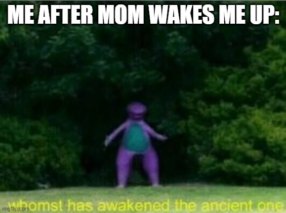 Whomst has awakened the ancient one | ME AFTER MOM WAKES ME UP: | image tagged in whomst has awakened the ancient one | made w/ Imgflip meme maker