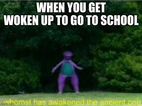 Whomst has awakened the ancient one | WHEN YOU GET WOKEN UP TO GO TO SCHOOL | image tagged in whomst has awakened the ancient one | made w/ Imgflip meme maker