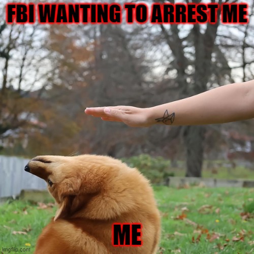 Avoid Dog | FBI WANTING TO ARREST ME; ME | image tagged in avoid dog | made w/ Imgflip meme maker