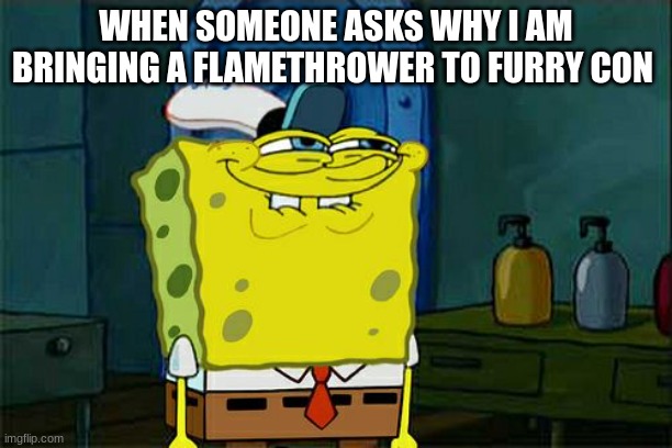 Don't You Squidward | WHEN SOMEONE ASKS WHY I AM BRINGING A FLAMETHROWER TO FURRY CON | image tagged in memes,don't you squidward | made w/ Imgflip meme maker