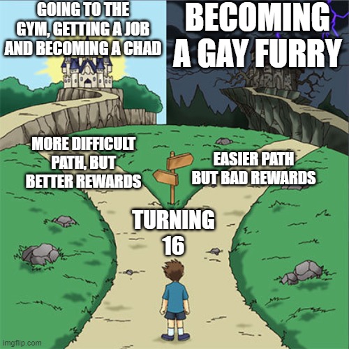 Two Paths | GOING TO THE GYM, GETTING A JOB AND BECOMING A CHAD; BECOMING A GAY FURRY; MORE DIFFICULT PATH, BUT BETTER REWARDS; EASIER PATH BUT BAD REWARDS; TURNING 16 | image tagged in two paths,chad,cool,funny | made w/ Imgflip meme maker