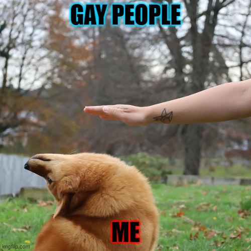 Avoid Dog | GAY PEOPLE; ME | image tagged in avoid dog | made w/ Imgflip meme maker