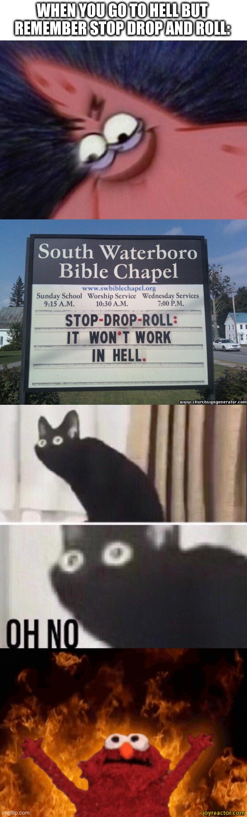 WHEN YOU GO TO HELL BUT REMEMBER STOP DROP AND ROLL: | image tagged in savage patrick blur,oh no cat,burning elmo | made w/ Imgflip meme maker
