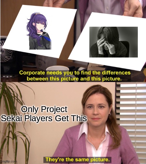 They're The Same Picture | Only Project Sekai Players Get This | image tagged in memes,they're the same picture | made w/ Imgflip meme maker