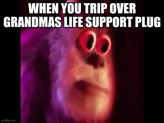 Sully Groan | WHEN YOU TRIP OVER GRANDMAS LIFE SUPPORT PLUG | image tagged in sully groan | made w/ Imgflip meme maker