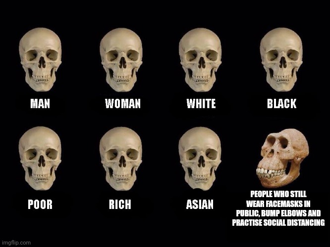 Since covid restrictions are over | PEOPLE WHO STILL WEAR FACEMASKS IN PUBLIC, BUMP ELBOWS AND PRACTISE SOCIAL DISTANCING | image tagged in empty skulls of truth | made w/ Imgflip meme maker