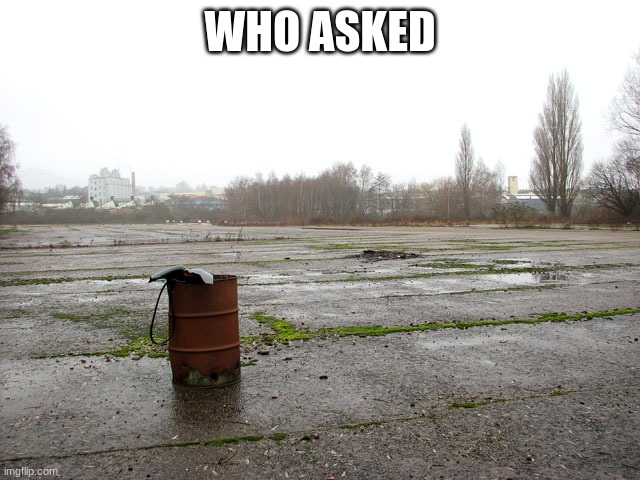 Everyone who asked | WHO ASKED | image tagged in everyone who asked | made w/ Imgflip meme maker