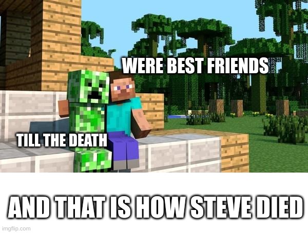 Friends be like | WERE BEST FRIENDS; TILL THE DEATH; AND THAT IS HOW STEVE DIED | image tagged in minecraft friendship,kiwi | made w/ Imgflip meme maker