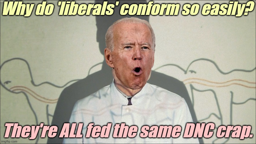 In 2024, zere vill be NO DNC debates! | Why do 'liberals' conform so easily? They're ALL fed the same DNC crap. | image tagged in liberals,democrats,lgbtq,blm,antifa,conformity | made w/ Imgflip meme maker
