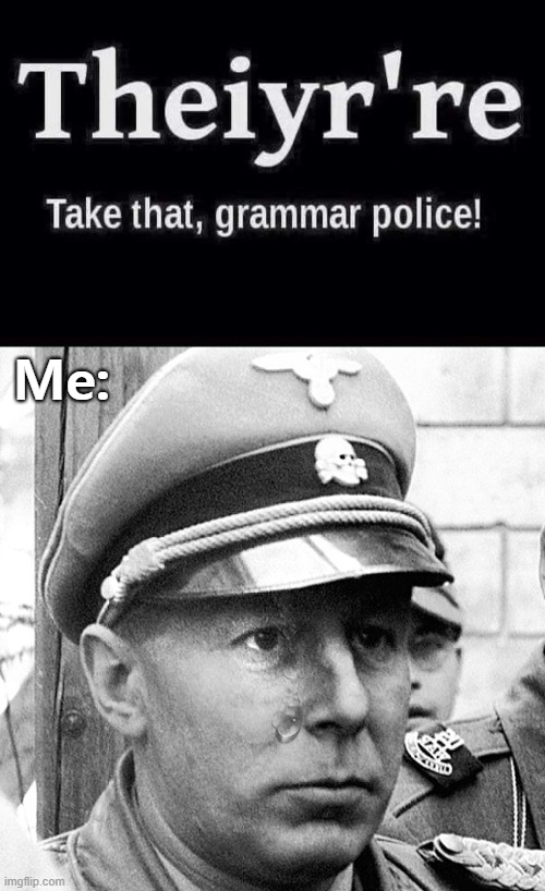 Me: | image tagged in grammar nazi,funny | made w/ Imgflip meme maker
