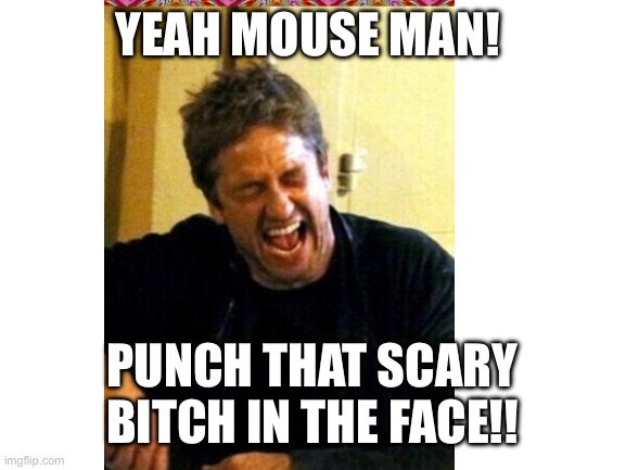 YEAH MOUSE MAN! PUNCH THAT SCARY BITCH IN THE FACE!! | made w/ Imgflip meme maker