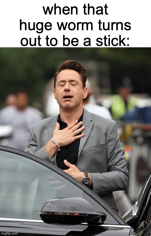 phew | when that huge worm turns out to be a stick: | image tagged in relief,memes,funny,worms,robert downey jr,stick | made w/ Imgflip meme maker
