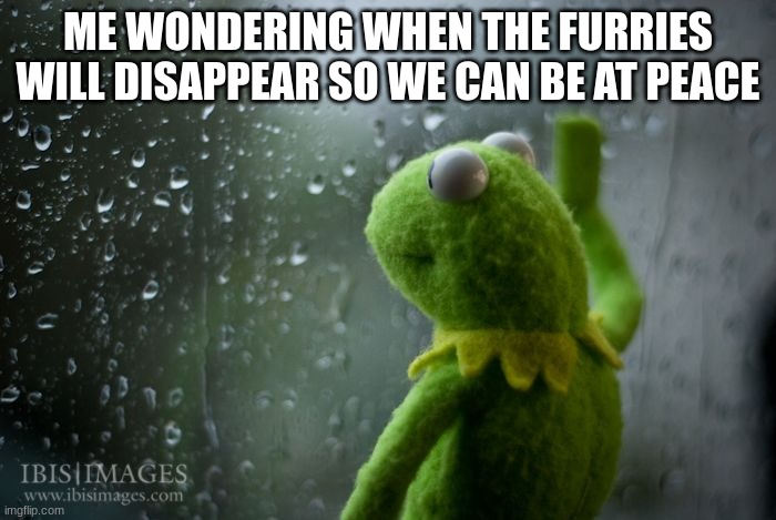 kermit window | ME WONDERING WHEN THE FURRIES WILL DISAPPEAR SO WE CAN BE AT PEACE | image tagged in kermit window | made w/ Imgflip meme maker