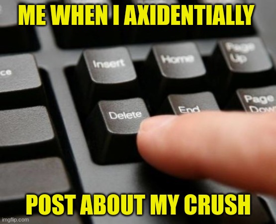 Delete | ME WHEN I AXIDENTIALLY; POST ABOUT MY CRUSH | image tagged in delete | made w/ Imgflip meme maker