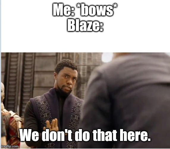 We don't do that here | Me: *bows*
Blaze:; We don't do that here. | image tagged in we don't do that here | made w/ Imgflip meme maker