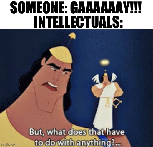 What does that have to do with anything? | SOMEONE: GAAAAAAY!!! INTELLECTUALS: | image tagged in what does that have to do with anything | made w/ Imgflip meme maker