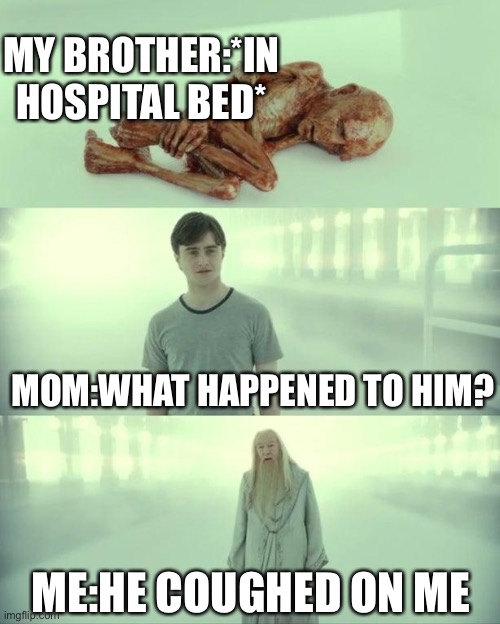 Idk | MY BROTHER:*IN HOSPITAL BED*; MOM:WHAT HAPPENED TO HIM? ME:HE COUGHED ON ME | image tagged in dead baby voldemort / what happened to him | made w/ Imgflip meme maker