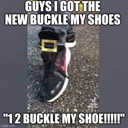 things | GUYS I GOT THE NEW BUCKLE MY SHOES; "1 2 BUCKLE MY SHOE!!!!!" | image tagged in shoes,funny,memes | made w/ Imgflip meme maker
