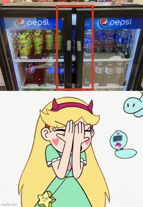 image tagged in star butterfly severe facepalm,you had one job,star vs the forces of evil,memes | made w/ Imgflip meme maker