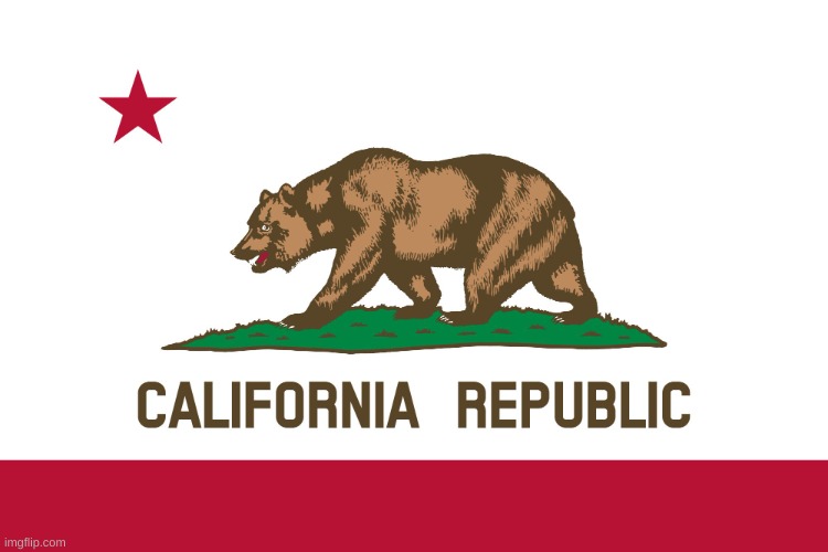 California Flag | image tagged in california flag | made w/ Imgflip meme maker