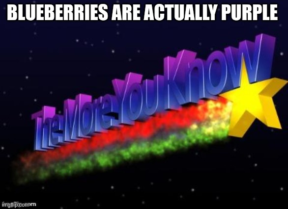 True | BLUEBERRIES ARE ACTUALLY PURPLE | image tagged in the more you know | made w/ Imgflip meme maker