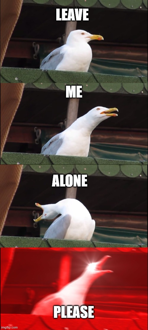 Older children troubles | LEAVE; ME; ALONE; PLEASE | image tagged in memes,inhaling seagull | made w/ Imgflip meme maker