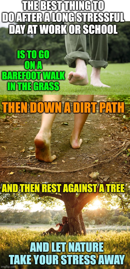 JUST TAKE IT ALL IN | THE BEST THING TO DO AFTER A LONG STRESSFUL DAY AT WORK OR SCHOOL; IS TO GO ON A BAREFOOT WALK IN THE GRASS; THEN DOWN A DIRT PATH; AND THEN REST AGAINST A TREE; AND LET NATURE TAKE YOUR STRESS AWAY | image tagged in blank white template,nature,grass,outside,stress | made w/ Imgflip meme maker