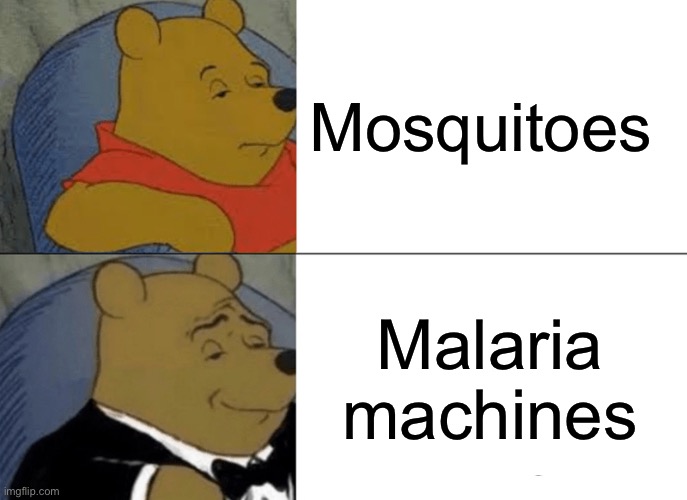 No matter what you call them, they deserve to die | Mosquitoes; Malaria machines | image tagged in memes,tuxedo winnie the pooh,mosquitoes | made w/ Imgflip meme maker