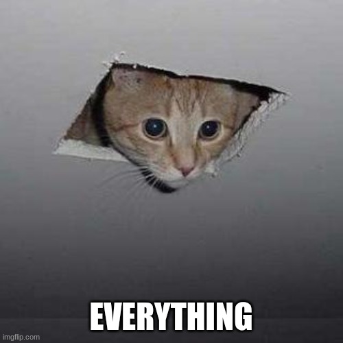 Ceiling Cat Meme | EVERYTHING | image tagged in memes,ceiling cat | made w/ Imgflip meme maker
