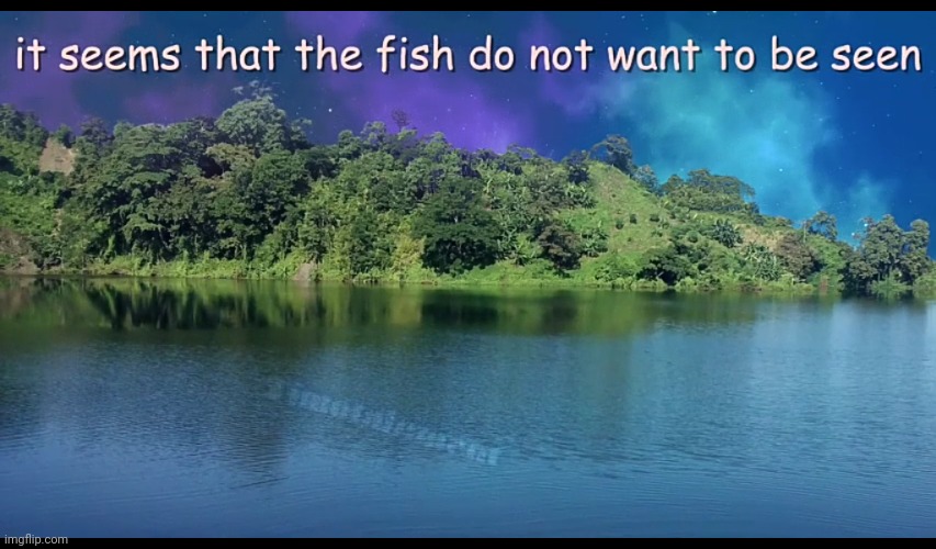 it seems that the fish do not want to be seen | image tagged in it seems that the fish do not want to be seen | made w/ Imgflip meme maker