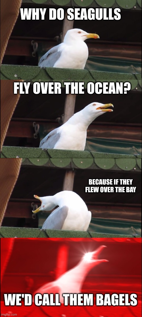 We'd call them bagels | WHY DO SEAGULLS; FLY OVER THE OCEAN? BECAUSE IF THEY FLEW OVER THE BAY; WE'D CALL THEM BAGELS | image tagged in memes,inhaling seagull | made w/ Imgflip meme maker