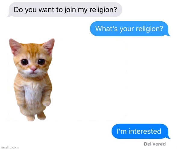 e l. g a t o | image tagged in whats your religion | made w/ Imgflip meme maker