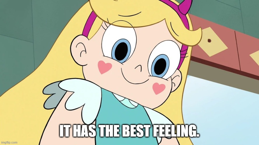 Star Butterfly Cute Face | IT HAS THE BEST FEELING. | image tagged in star butterfly cute face | made w/ Imgflip meme maker