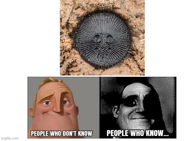 math memes, Traumatized Mr. Incredible / People Who Don't Know vs. People  Who Know