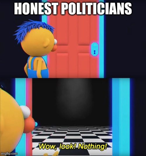 Wow, look! Nothing! | HONEST POLITICIANS | image tagged in wow look nothing | made w/ Imgflip meme maker