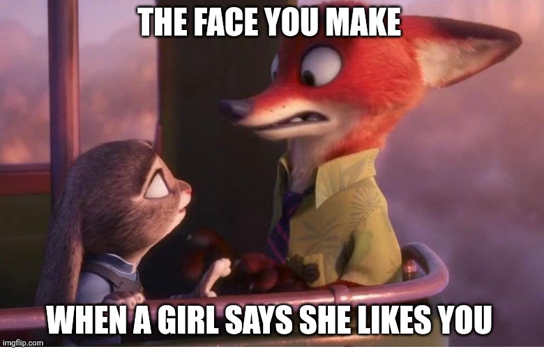 Nick's First Experience with Girls | THE FACE YOU MAKE; WHEN A GIRL SAYS SHE LIKES YOU | image tagged in nick wilde creeped out,zootopia,judy hopps,nick wilde,the face you make when,funny | made w/ Imgflip meme maker