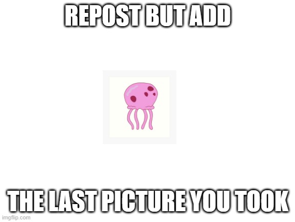 SteveTheUndeadJoltbreon | REPOST BUT ADD; THE LAST PICTURE YOU TOOK | image tagged in blank white template | made w/ Imgflip meme maker