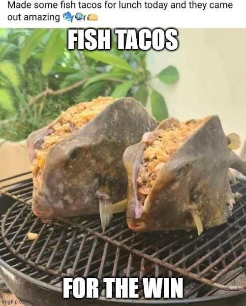 When you up your game for fish tacos | FISH TACOS; FOR THE WIN | image tagged in when you up your game for fish tacos | made w/ Imgflip meme maker