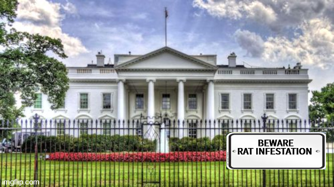 White House Biden 2024 | BEWARE
RAT INFESTATION | image tagged in 2024 election,joe biden,china joe,white house,democrat | made w/ Imgflip meme maker
