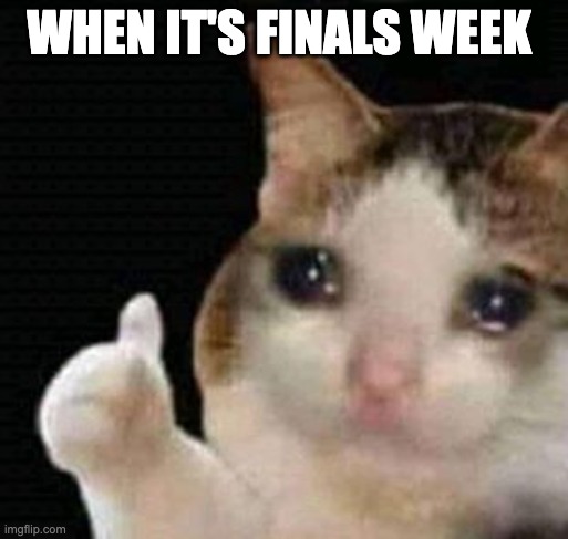 sad thumbs up cat | WHEN IT'S FINALS WEEK | image tagged in sad thumbs up cat | made w/ Imgflip meme maker